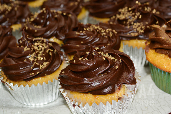 Chocolate Cupcakes