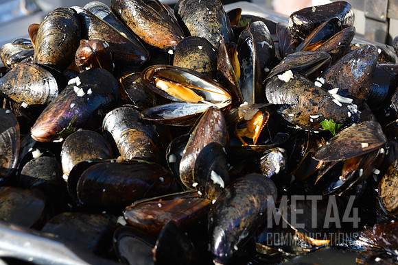 Fresh Mussels