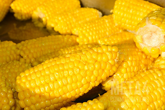 Corn on the Cob