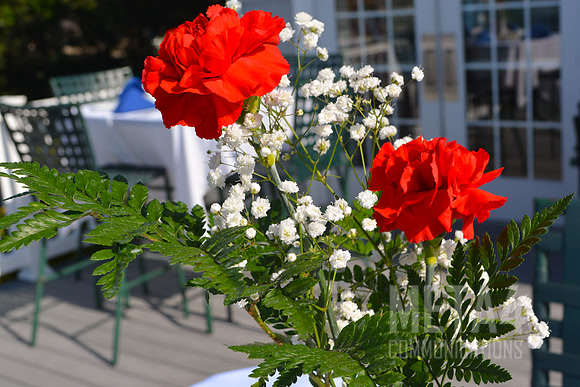 Long-Stemmed Red Roses