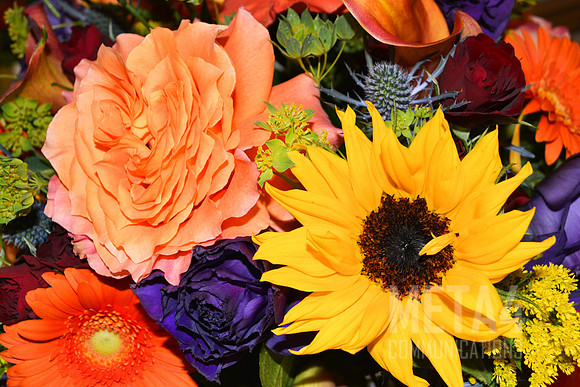 Colorful Floral Bouquet