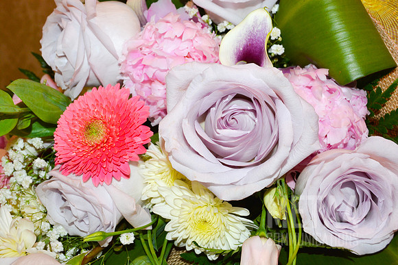 Bouquet of Roses
