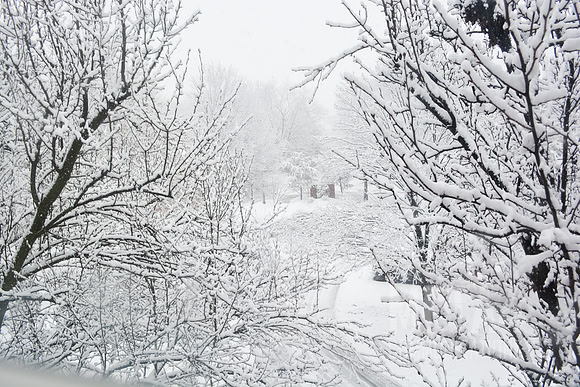 Winter Wonderland