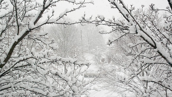 Winter Wonderland