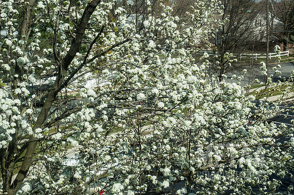 Spring has Sprung!