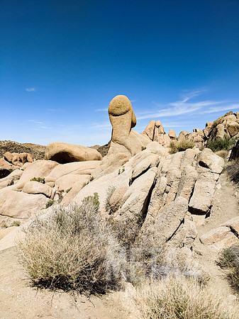 Joshua Tree National Park
