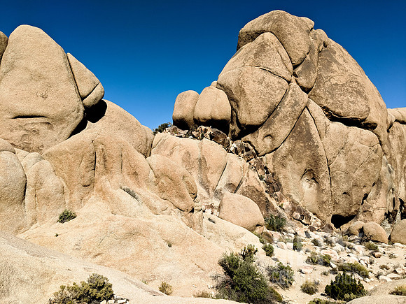 Joshua Tree National Park