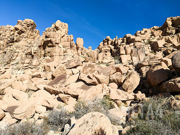 Joshua Tree National Park