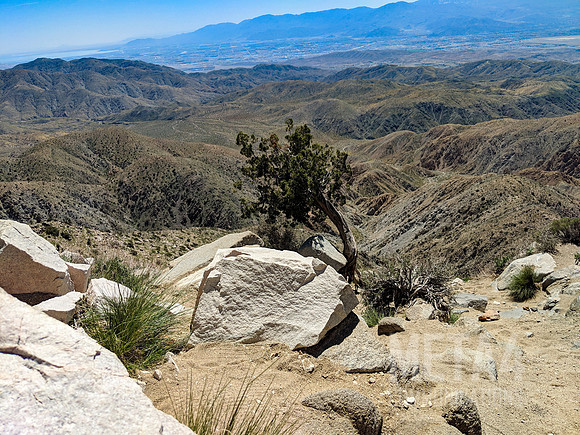 Joshua Tree National Park