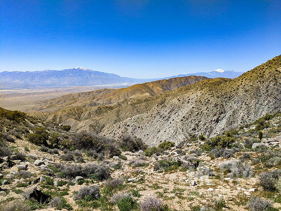 Joshua Tree National Park