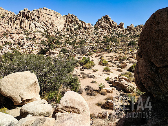 Joshua Tree National Park