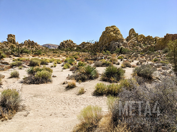 Joshua Tree National Park