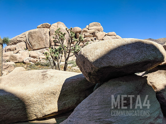 Joshua Tree National Park