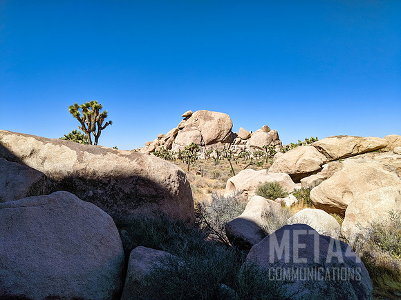 Joshua Tree National Park