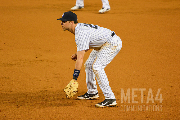 Mark Teixeira | Yankee Stadium 2014