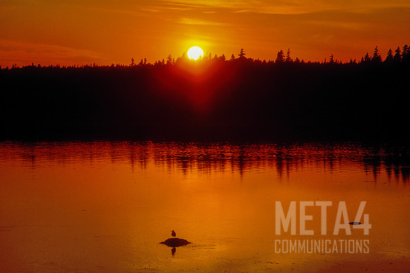 Fiery Harbor Sunrise | Nova Scotia