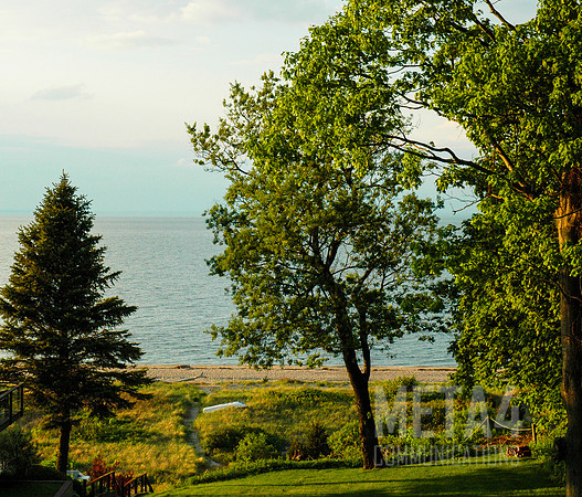Trees Overlooking Long Island Sound