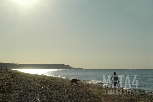 Woman Walking Dog on Beach