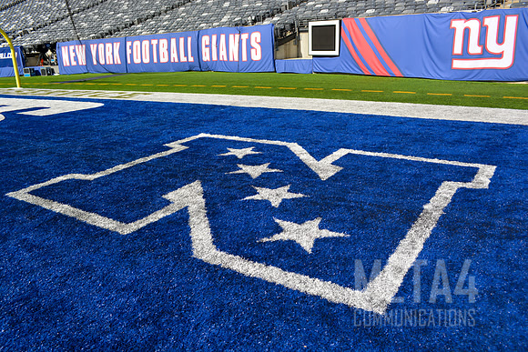 NFC End Zone Logo | MetLife Stadium