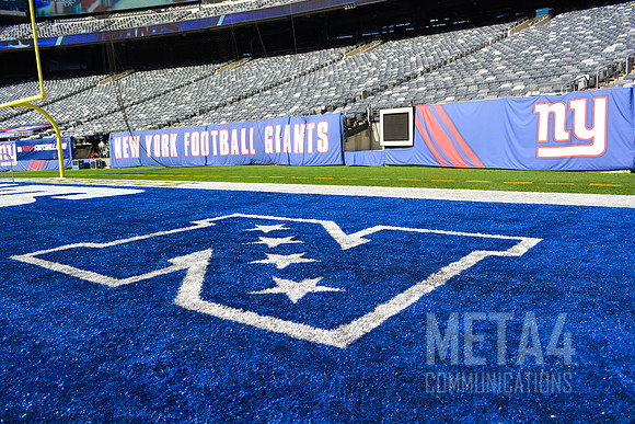 NFC End Zone Logo | MetLife Stadium