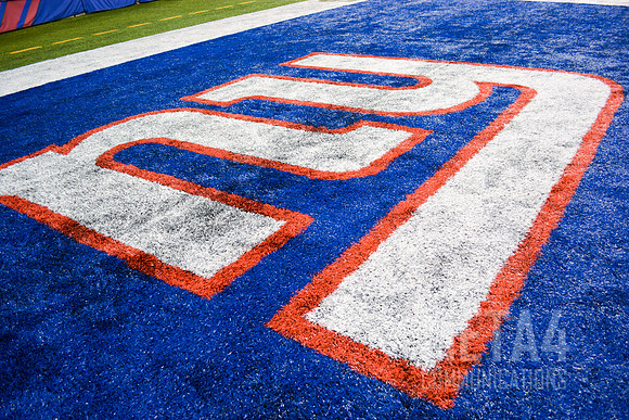 NY Giants End Zone Logo | MetLife Stadium