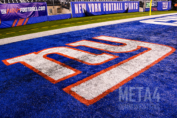 NY Giants End Zone Logo | MetLife Stadium