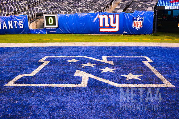 NFC End Zone Logo | MetLife Stadium