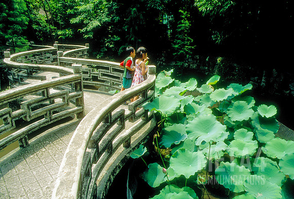 Lotus at Nine Turn Bridge | Macau China